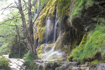 Hiking