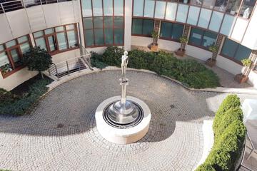 Photo 50