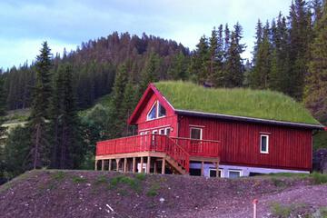 Photo 16