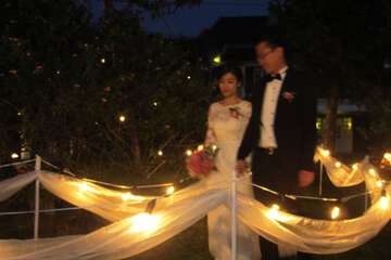 Outdoor wedding area