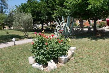 Photo 62