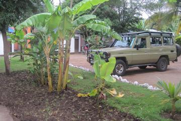 Photo 24