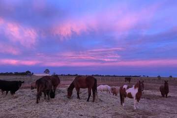 Land view from property