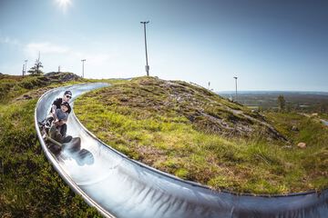 Sledding