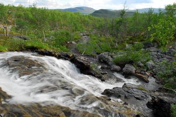 Photo 44