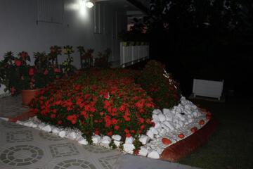 Photo 82