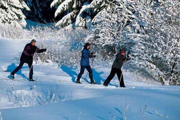 Snow and ski sports