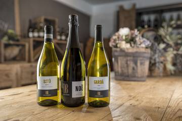 Winery