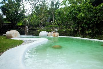 Natural pool