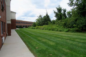 Pet-friendly amenities