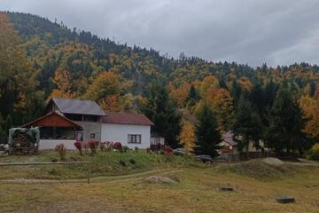 Photo 43