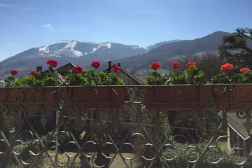Mountain view