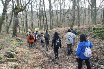 Hiking