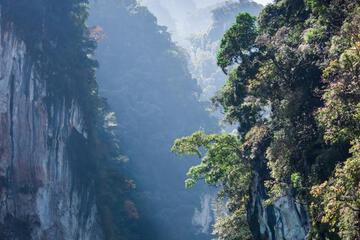 Photo 44