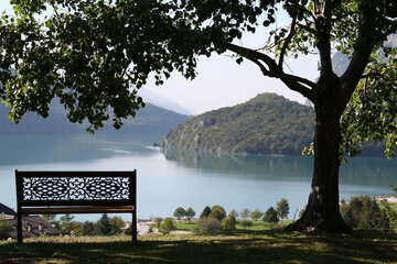 Lake view