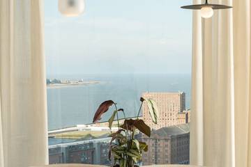 View from room