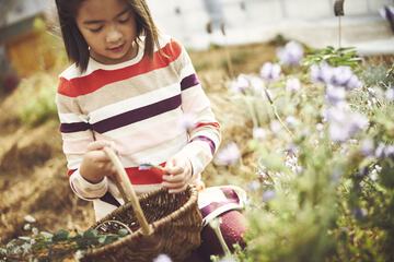 Children's activities