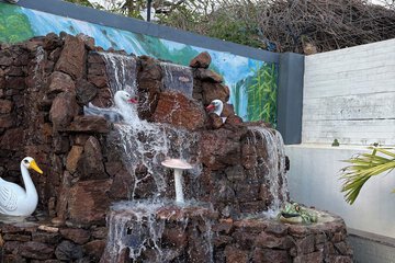 Pool waterfall