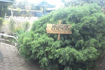 Outdoor wedding area