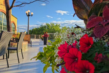 Rooftop terrace