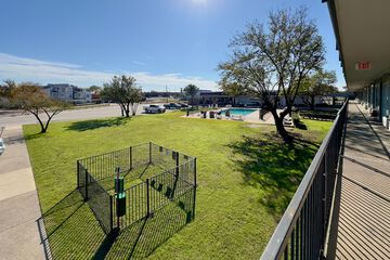 Pet-friendly amenities