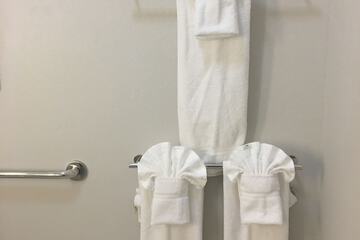 Bathroom amenities