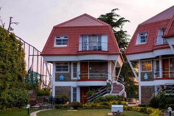 Photo 46