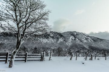 Mountain view