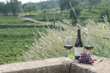 Winery