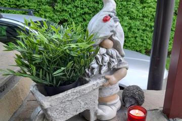 Photo 31