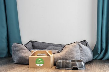 Pet-friendly amenities