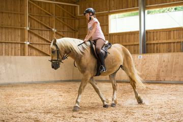 Horseback riding