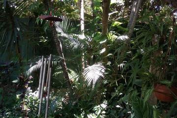 Photo 40