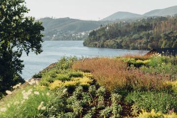 Land view from property