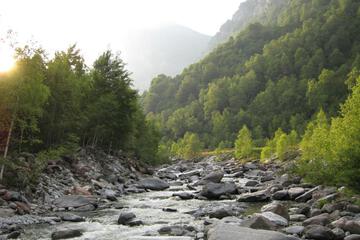 Photo 43