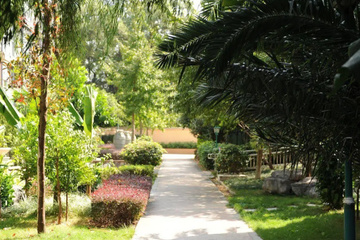 outside