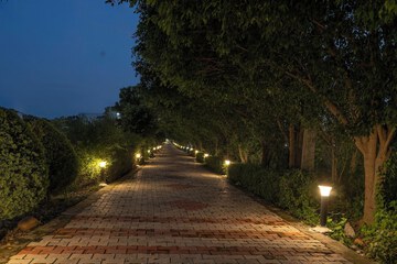 Garden view