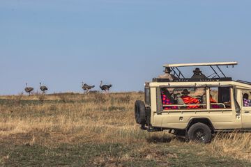 Game drive