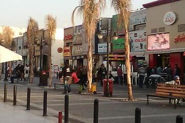 Photo 47