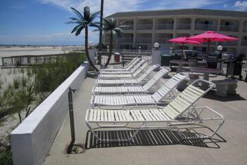 Photo 44
