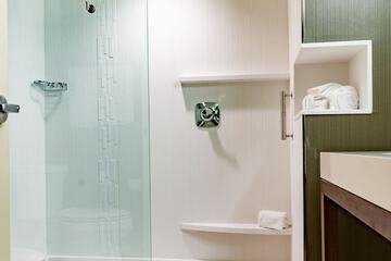Bathroom shower