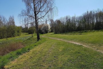 Miscellaneous