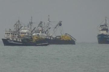 Photo 48