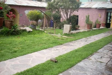 outside