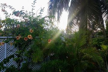 Photo 61