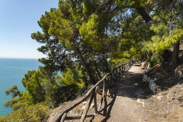 Hiking