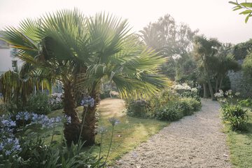 Garden view