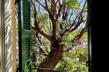 Garden view