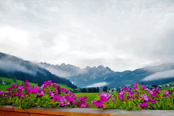 Mountain view
