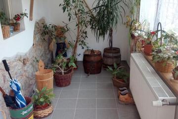 Photo 51